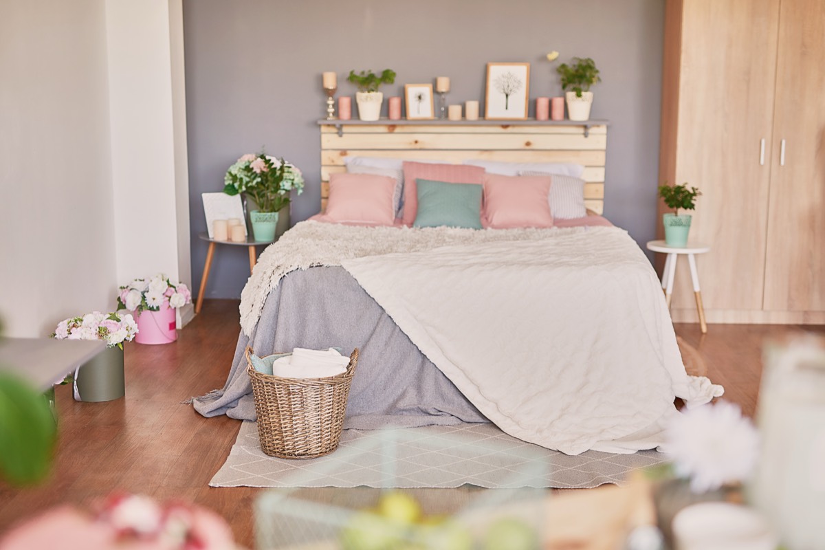 Carpet & Upholstery