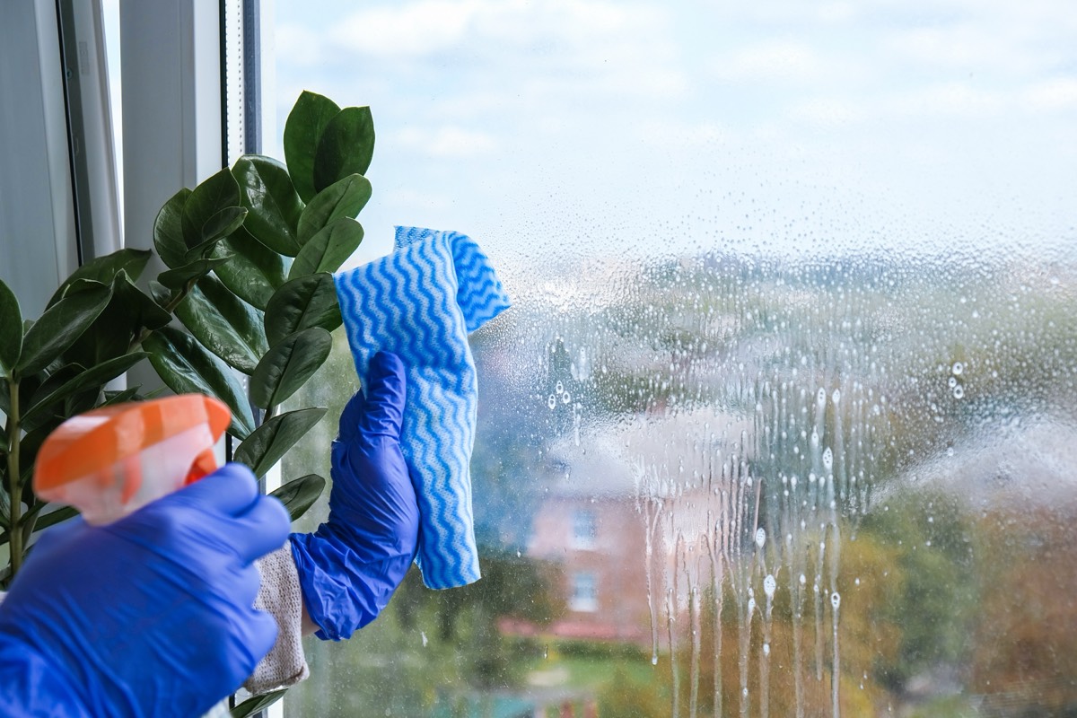 Window Cleaning